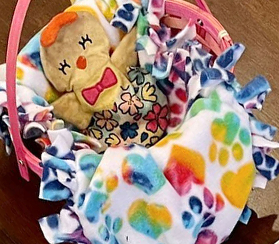 Cute Puppy Blanket and Puppy Toy in a Basket for New Puppy