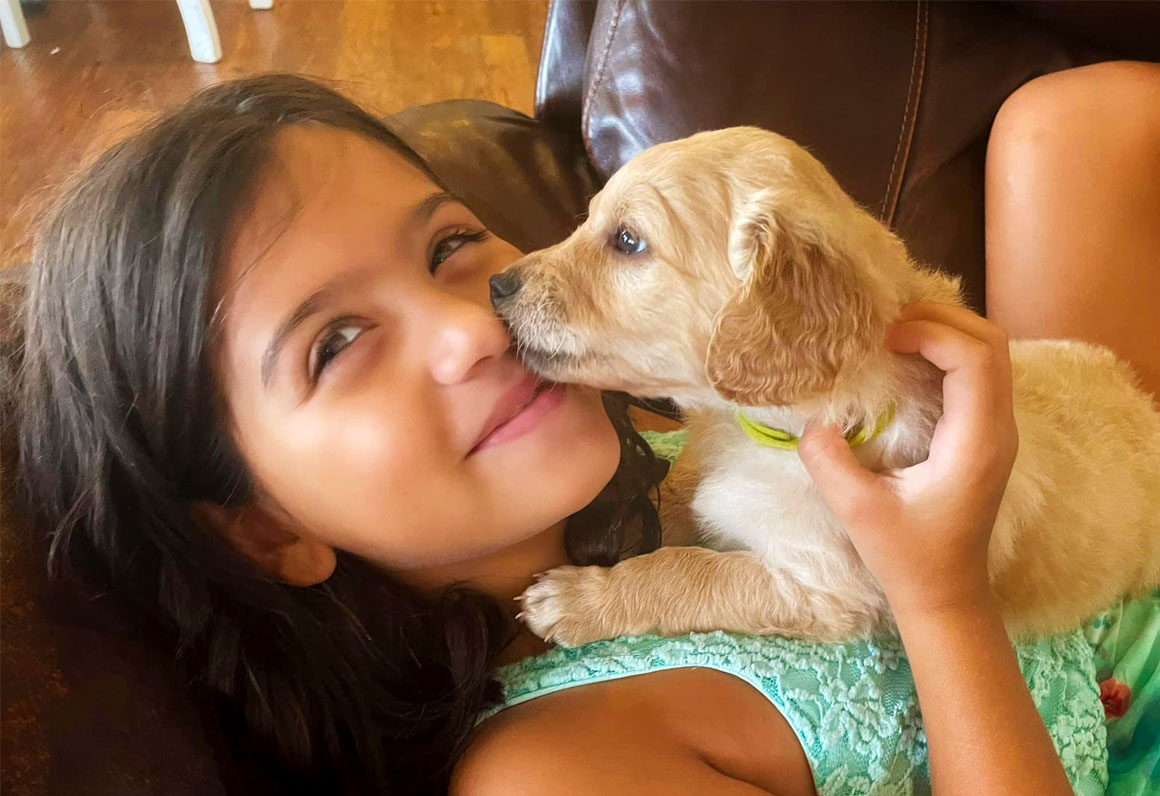 Mini Goldendoodle Puppy Giving Litter Girl Kisses on Her Face