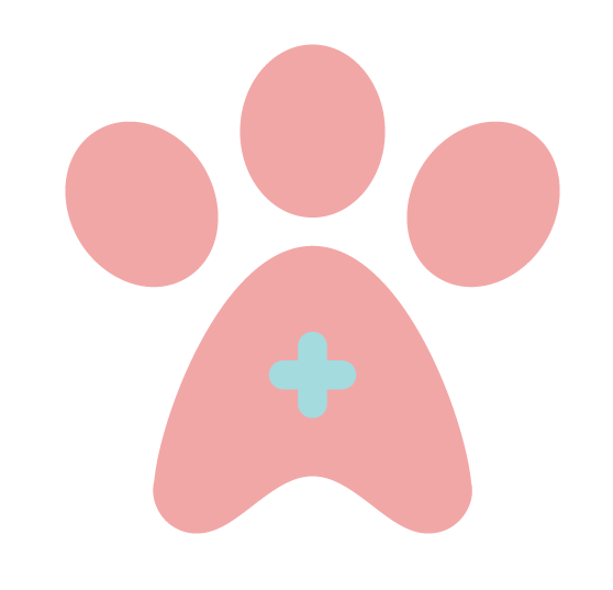 Puppy Guarantee Icon