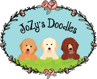 JoZy's Doodles Logo Website Header