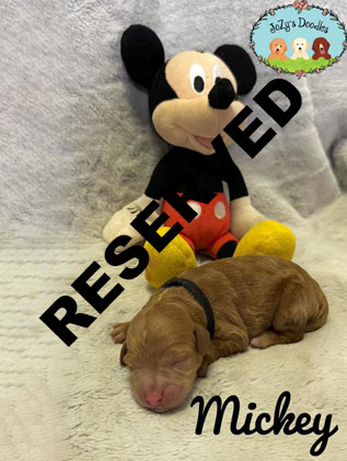 MICKEY RESERVED